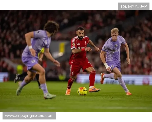 布莱顿足球俱乐部崛起之路：从英超新秀到顶级竞争者的蜕变